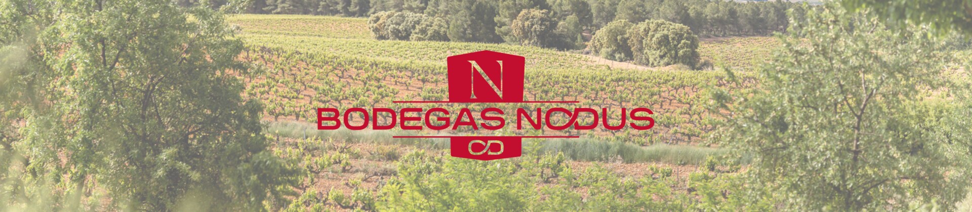 Bodegas Nodus